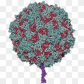Poliovirus Binding Receptor 1dgi, HD Png Download - white doily png