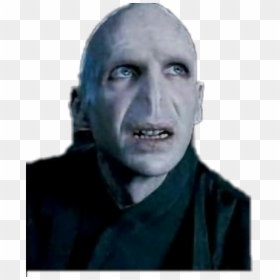 Voldemort Png -voldemort Sticker - Ralph Fiennes Voldemort, Transparent Png - daisy ridley png