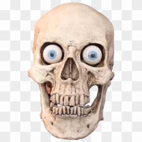 Standard Talking Skull - Talking Skull, HD Png Download - blue skull png