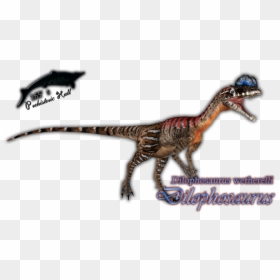 Lesothosaurus, HD Png Download - dilophosaurus png