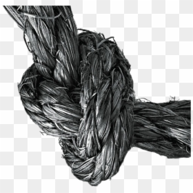 Rope Knot Painting - Drawing Of Rope Knotted, HD Png Download - rope line png