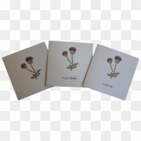 Scottish Thistle Thank You Note Cards Scots Language - Scottish Thank You Cards, HD Png Download - note card png