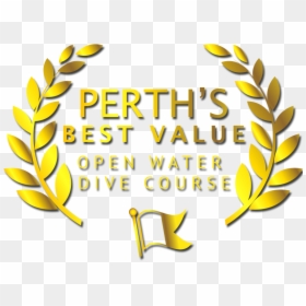 Best Value Dive Course Perth , Transparent Cartoons, HD Png Download - diving board png