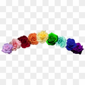 Garden Roses, HD Png Download - summer rae png