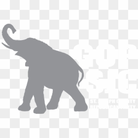 Indian Elephant , Png Download - Indian Elephant, Transparent Png - white elephant png