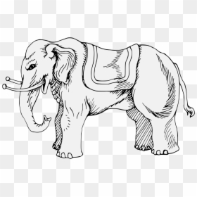 Indian Elephant, HD Png Download - white elephant png