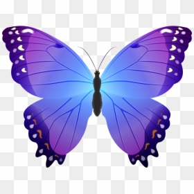 Small Butterfly Clipart, HD Png Download - butterfly border png