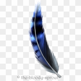 Blue Jay Feather Drawing, HD Png Download - blue feather png