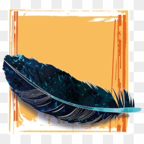 Feather, Blue, Black, Marbled, Fund, Orange, HD Png Download - blue feather png