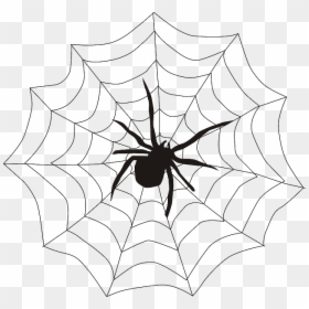 Spider In Web Drawing, HD Png Download - spider web tattoo png
