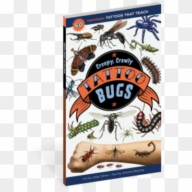 Cover - Creepy Crawl Sticker Book, HD Png Download - spider web tattoo png