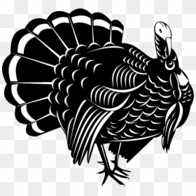 Turkey Bird Png Image With Transparent Background - Turkey Vector Black And White, Png Download - wild turkey png
