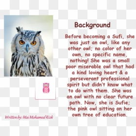 Snowy Owl, HD Png Download - pink owl png