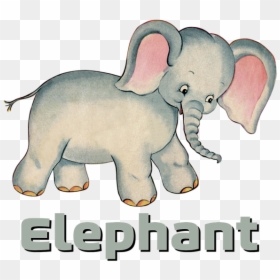 Indian Elephant, HD Png Download - cute baby png