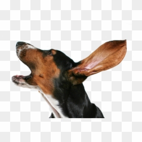 Dog Collar Puppy Bark Dog Collar - Dog Barking Transparent Background, HD Png Download - dog barking png