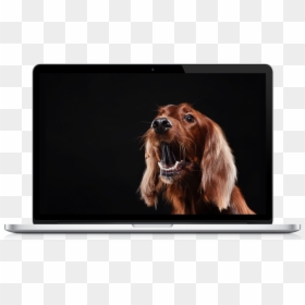 Dog, HD Png Download - dog barking png