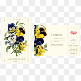 Pansy Botanical Print , Png Download - Bouquet De Pensées, Transparent Png - pansy png