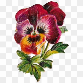 Floral Clipart Image Flower Pansy Purple Digital Download - Artificial Flower, HD Png Download - pansy png