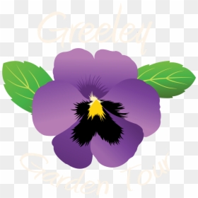 Pansies Png -pansy Clipart Indigo Plant - Pansy, Transparent Png - pansy png
