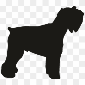 Miniature Schnauzer Dog Breed Rottweiler Dobermann - Dog, HD Png Download - schnauzer png