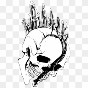Skull Split - Split Skull Art, HD Png Download - skull art png