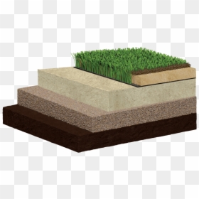 Hats Benefits - Hedge, HD Png Download - turf png