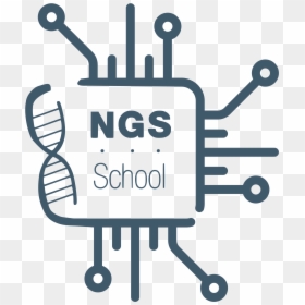 Ngs19 Logo - Decision Engines, HD Png Download - machine learning png