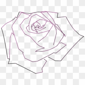 Clip Art Paper White Sleeve Sketch - Sketch, HD Png Download - black rose petals png