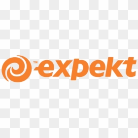 Logo Expekt - Reel Fx Animation Studios Logo Png, Transparent Png - yggdrasil png