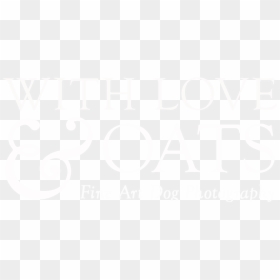 Drawing, HD Png Download - white square png