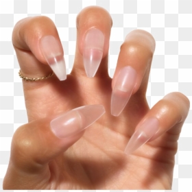 Clear Coat Acrylic Nails, HD Png Download - nail png