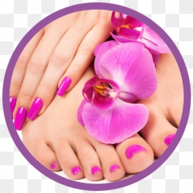 Hybryda Dlonie I Stopy, HD Png Download - nail png