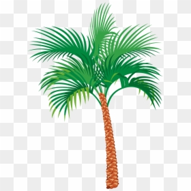 Coconut Tree Vector, HD Png Download - palm tree silhouette png