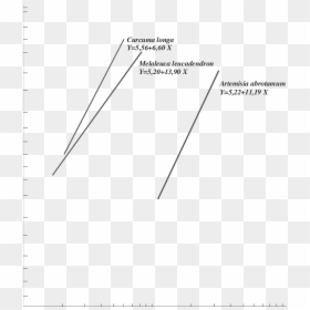 Document, HD Png Download - lineas png