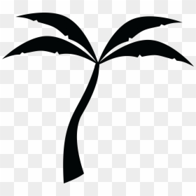 Black And White Palm Tree Line Art, HD Png Download - palm tree silhouette png