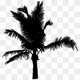Portable Network Graphics, HD Png Download - palm tree silhouette png