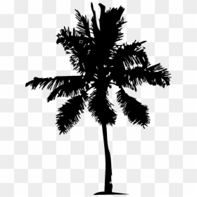 Free Vector Download Tree Silhouettes, HD Png Download - palm tree silhouette png