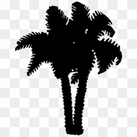 Illustration, HD Png Download - palm tree silhouette png