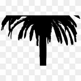 Date Palm Tree Silhouette, HD Png Download - palm tree silhouette png
