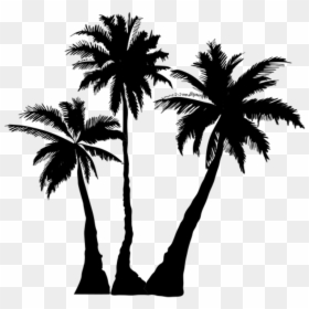 Palm Tree Silhouette Png, Transparent Png - palm tree silhouette png