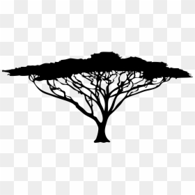 African Tree Drawing, HD Png Download - palm tree silhouette png