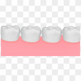 Gum And Teeth Png, Transparent Png - teeth png