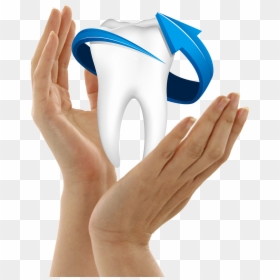 Single Teeth Png, Transparent Png - teeth png