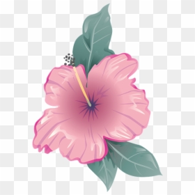 Like Comment Subscribe Girly, HD Png Download - hibiscus png