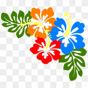 Hawaiian Flower Border Png, Transparent Png - hibiscus png