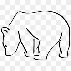 Black And White Clipart Bear, HD Png Download - polar bear png