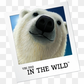 Vbs In The Wild 2019, HD Png Download - polar bear png