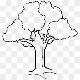 Tree Clipart Black And White Png, Transparent Png - tree clipart png