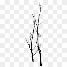 Twig, HD Png Download - dead tree png