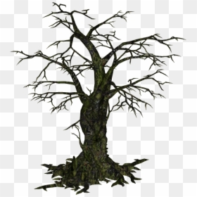 Creepy Tree Png, Transparent Png - dead tree png